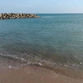 visionthrulens_15625383_1680560065569406_2036154981836390400_n